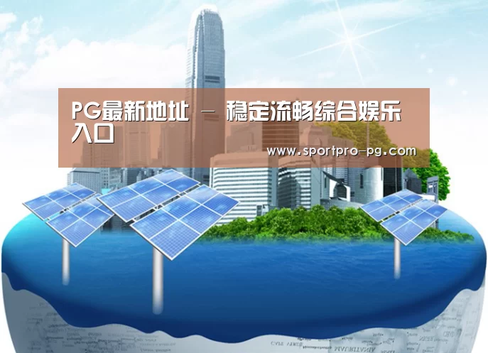 PG入口公司