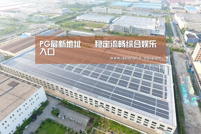 案例展示一