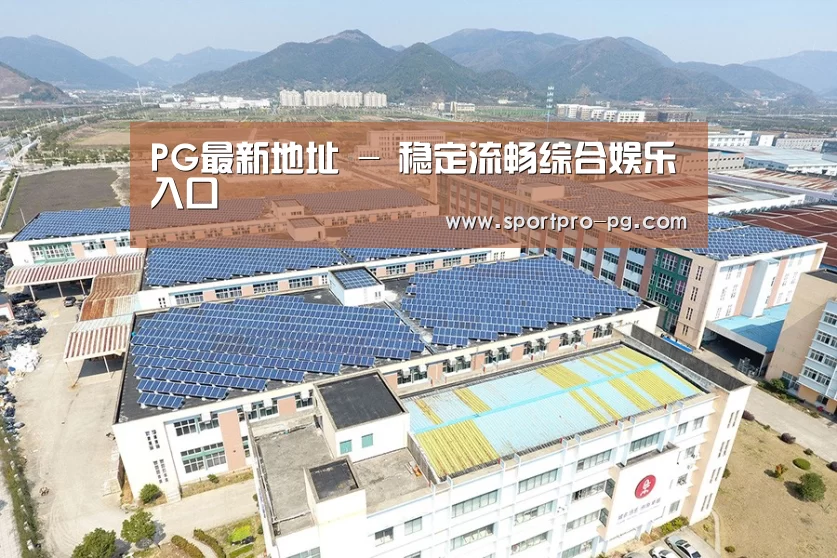 案例展示一