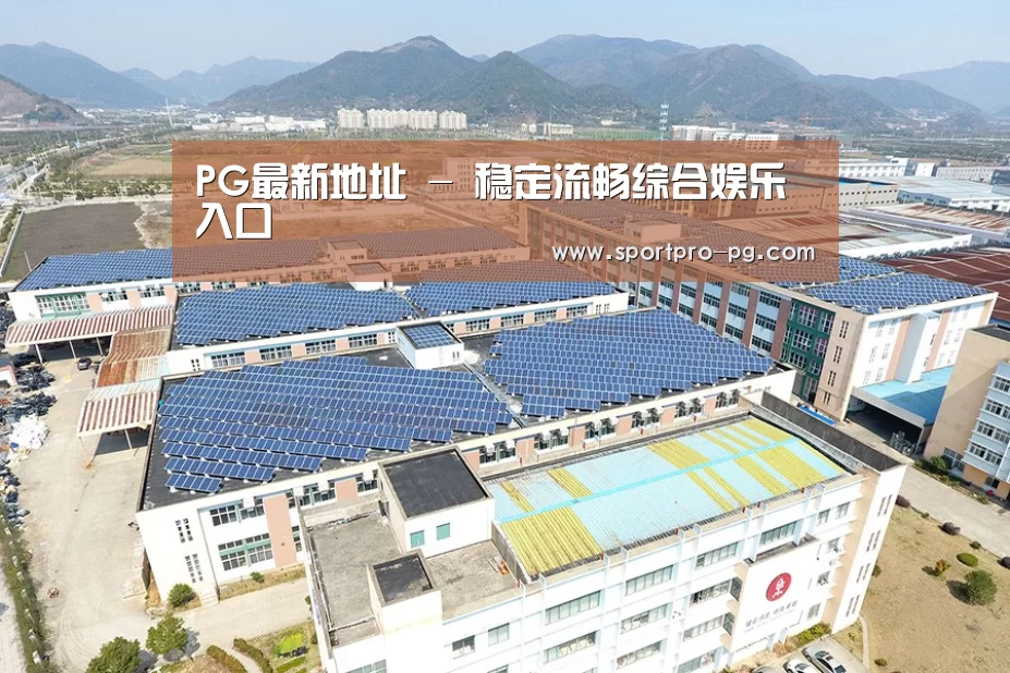 案例展示四