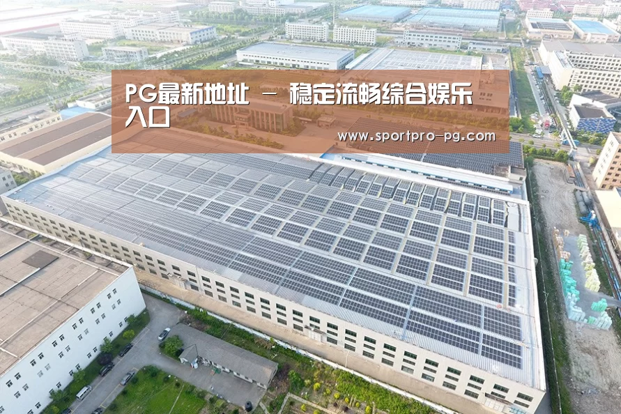 案例展示二