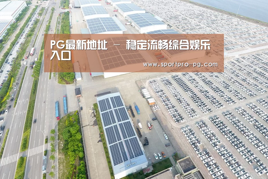 案例展示一