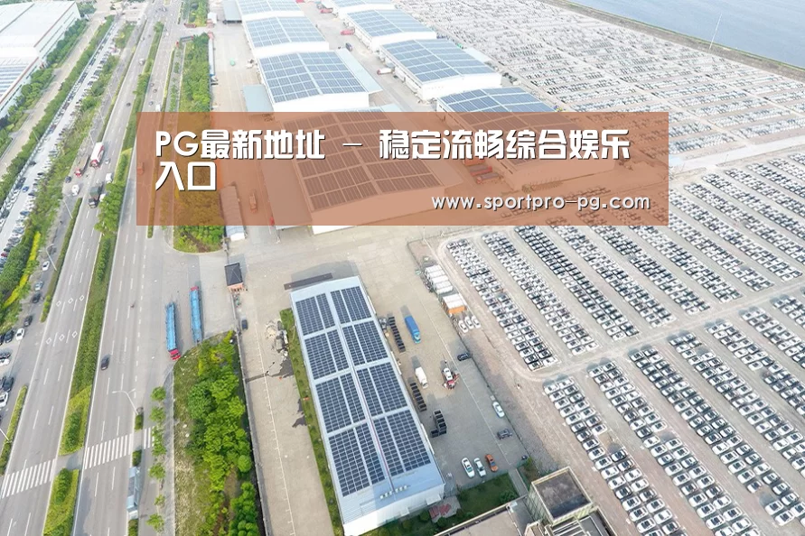 案例展示一