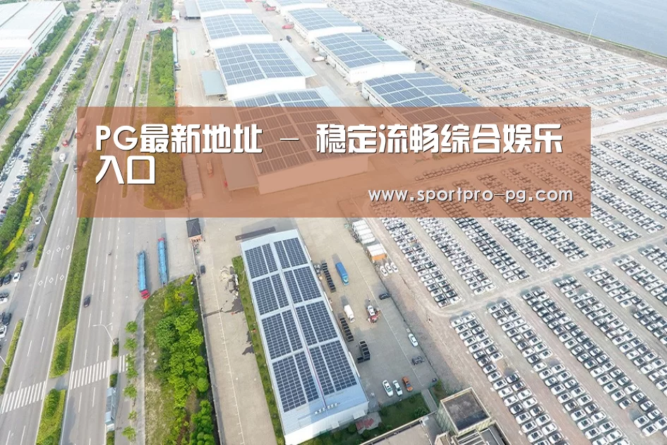 案例展示四