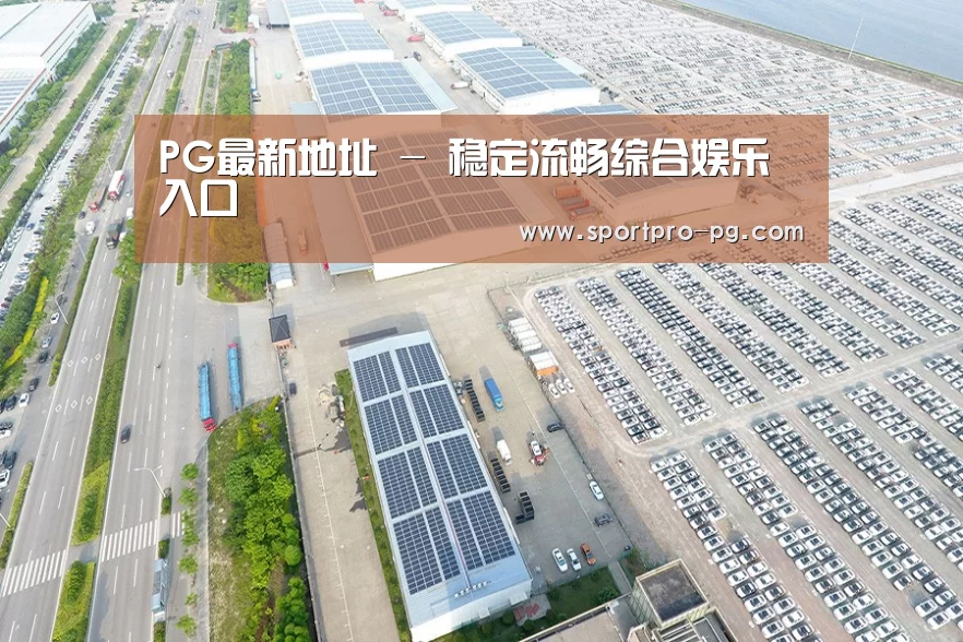 案例展示三