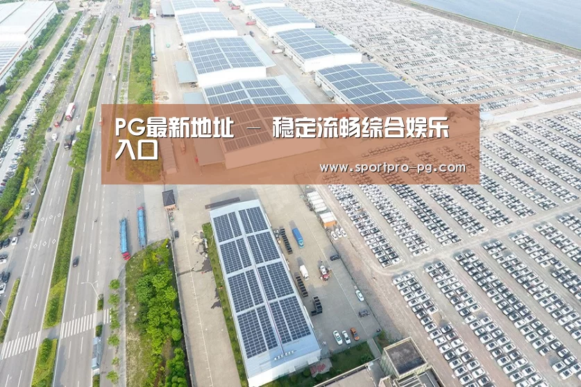 案例展示二