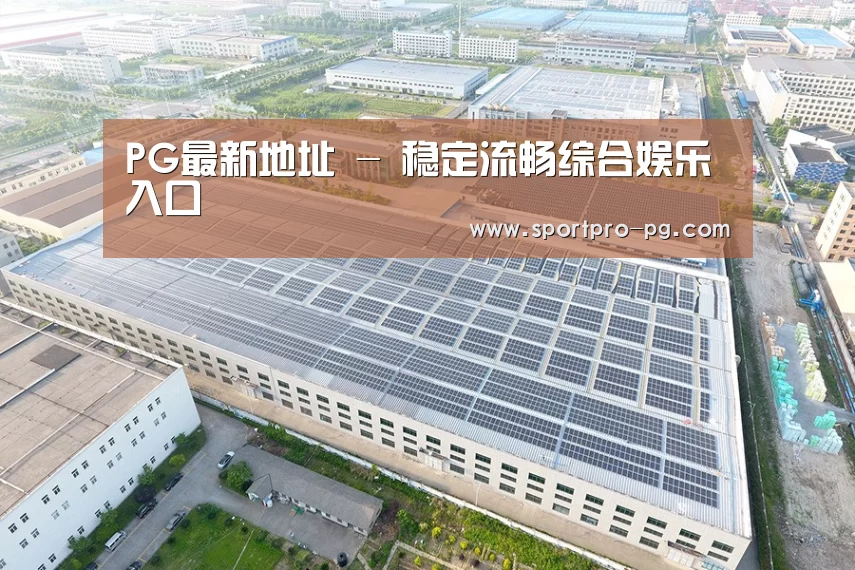 案例展示四
