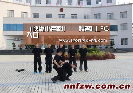 「快爆小百科」— 秋名山_PG入口(图3) PG入口